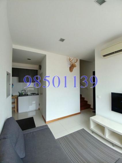 Parc Somme (D8), Apartment #147780082